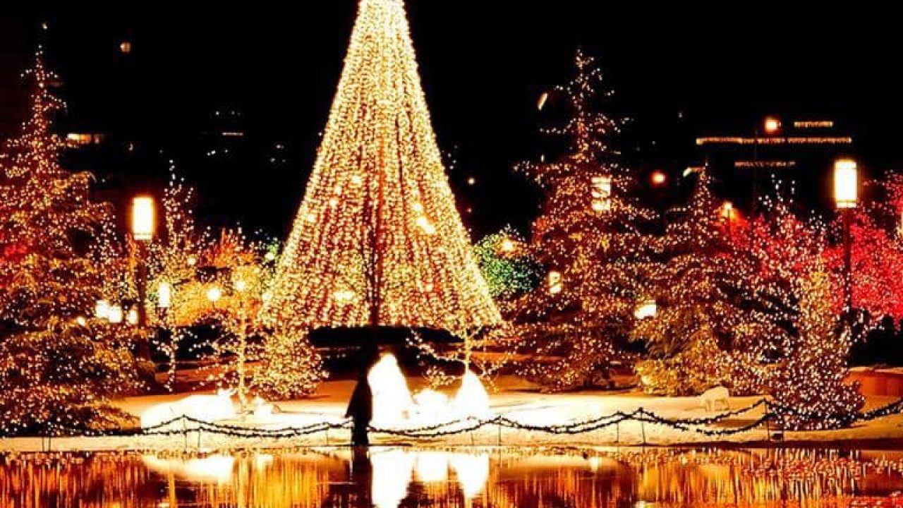 A Christmas Scene